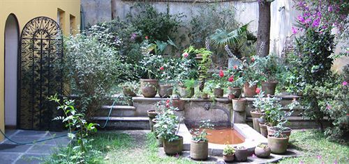 Bed & Breakfast Casa Carmel 3*